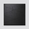 Black Leather with Spider